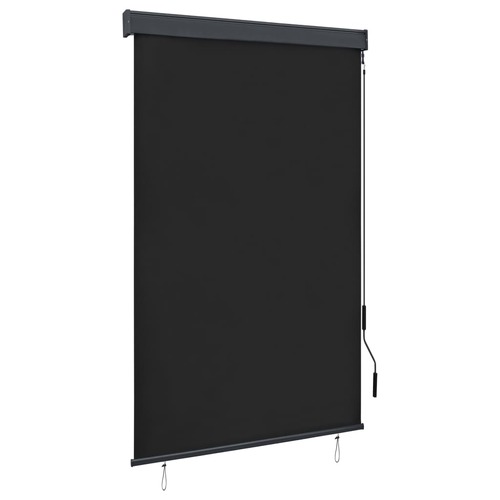 Outdoor Roller Blind 120x250 cm Anthracite