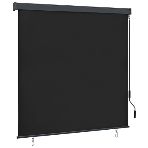 Outdoor Roller Blind 160x250 cm Anthracite