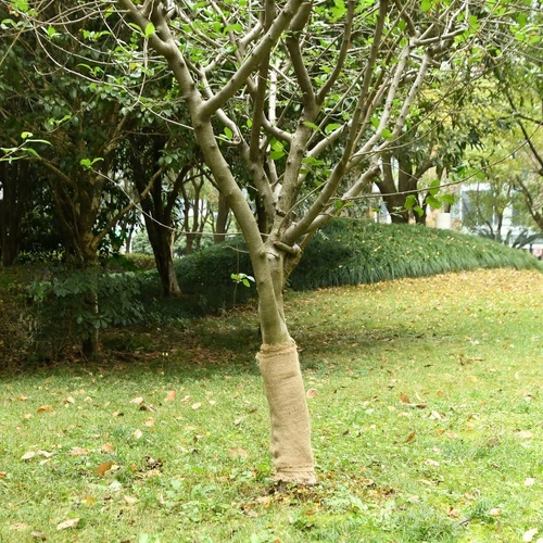 Jute Roll 0.5x5 m 100% Jute 200 gsm