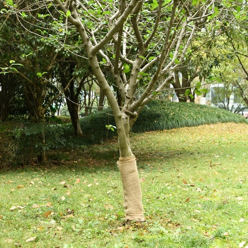 Jute Roll 0.5x15 m 100% Jute 200 gsm