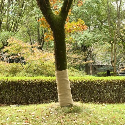 Jute Roll 1x50 m 100% Jute 200 gsm