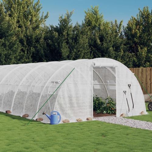 Greenhouse with Steel Frame White 24 m² 6x4x2 m