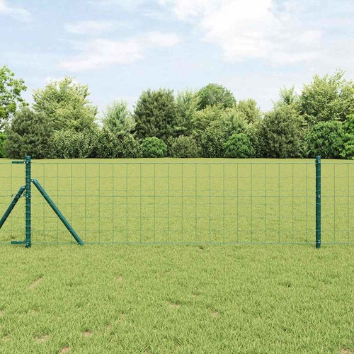 Fence with Post Green 0,8 x 10 m Steel