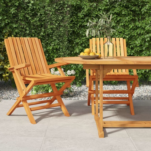 Folding Garden Chairs 2 pcs 61x67x90 cm Solid Wood Teak