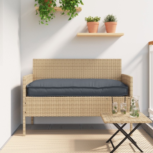 Pallet Cushion Set 2 pcs Anthracite 120 x 40 x 8 cm