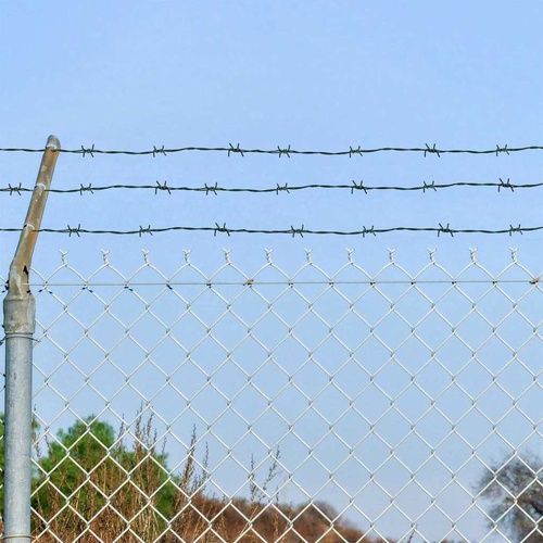 Barbed Wire Green 100 m Hot-dip Galvanised Steel