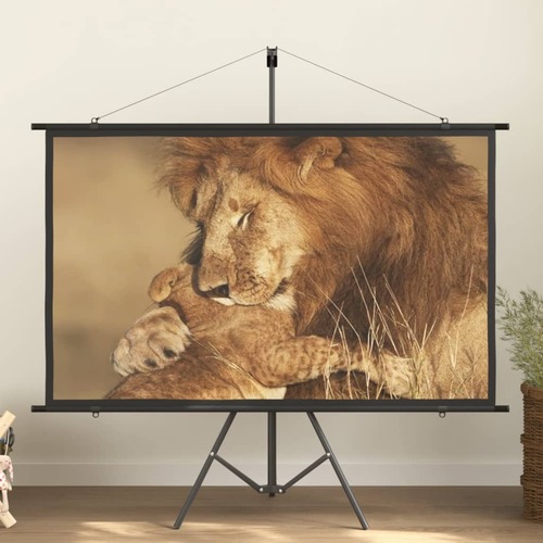 Projection Screen 72" 16:9