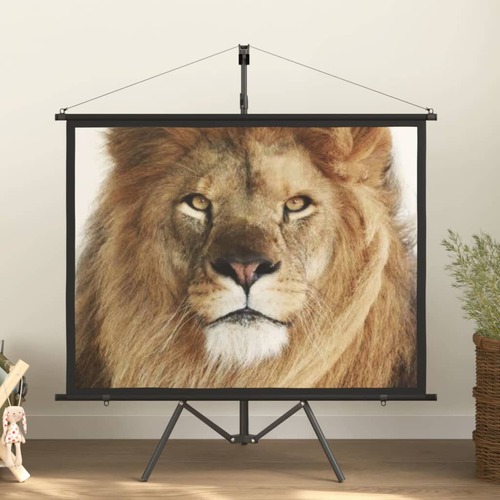 Projection Screen with Tripod 60" 4:3