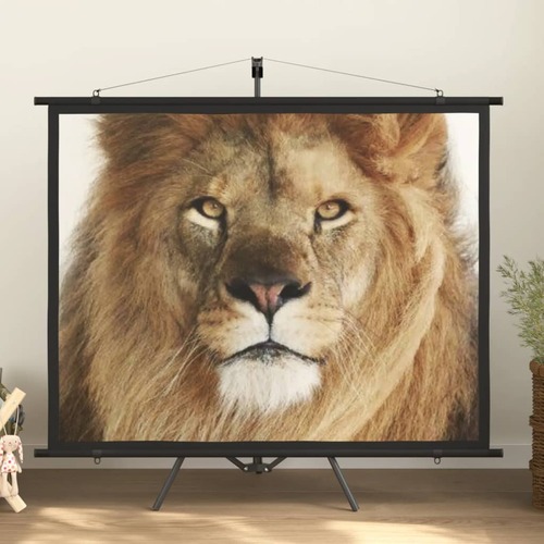 Projection Screen with Tripod 72" 4:3