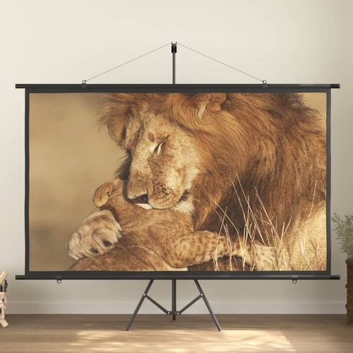 Projection Screen with Tripod 100" 16:9