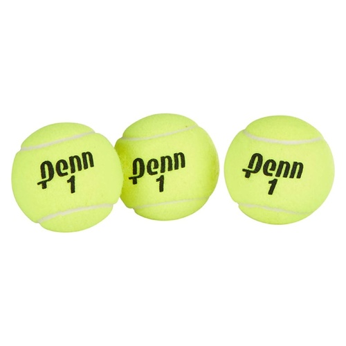 Penn Championship Tennis Balls 20 Cans Extra Duty USTA Official Hard Court 60 Tennis Balls