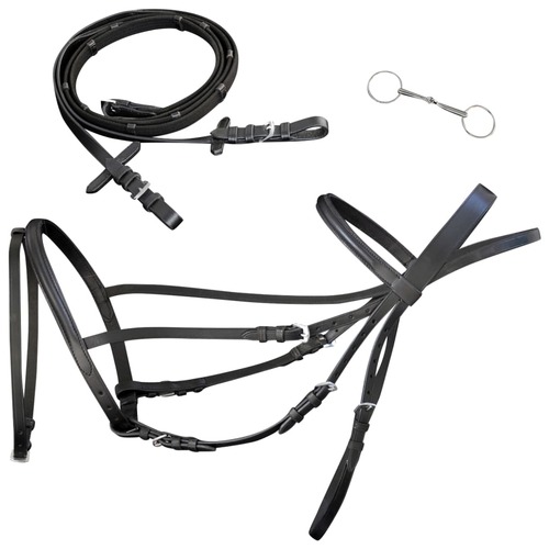 Leather Flash Bridle with Reins and Bit Black Pony