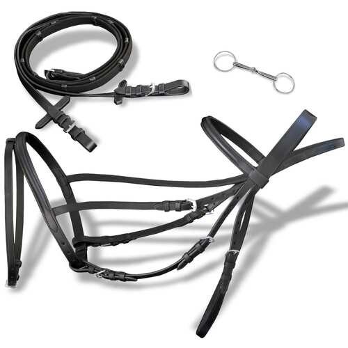 Leather Flash Bridle with Reins and Bit Black Cob