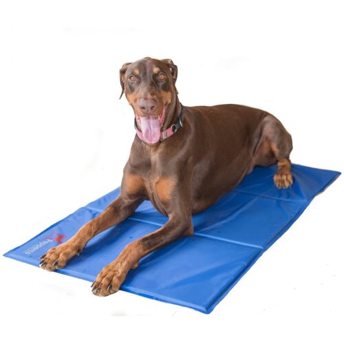 Pepperco XXL Pet Dog Cooling Mat Instant Non-Toxic Cool Gel Pad 100cmx60cm